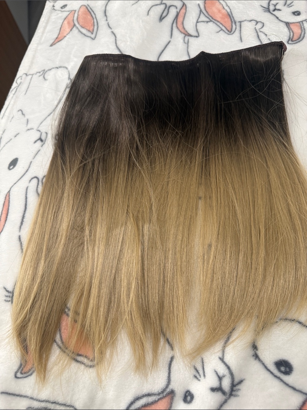 ThatHair- NWT Ombre Clip-In Hair Extensions - Brown to Blonde